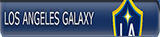 LA Galaxy alternate logo