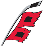 Carolina Hurricanes alternate logo