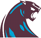 Michigan Panthers alternate logo