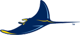 Tampa Bay Rays alternate logo