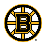 Boston Bruins primary logo