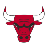 Chicago Bulls primary logo