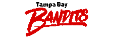 Tampa Bay Bandits logo