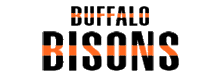 Buffalo Bisons logo
