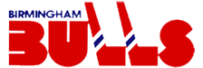 Birmingham Bulls logo