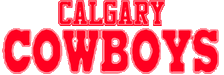 Calgary Cowboys logo