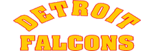 Detroit Falcons logo