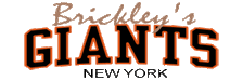 NY Brickley Giants logo