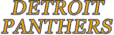 Detroit Panthers logo