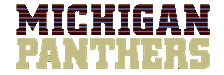 Michigan Panthers logo