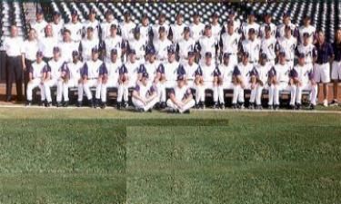 2001 World Champions Arizona Diamondbacks