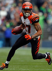 Andre Caldwell