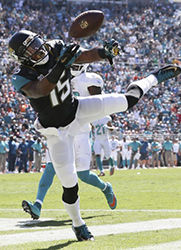 Allen Robinson