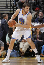 Andrew Bogut