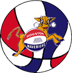 Houston Mavericks